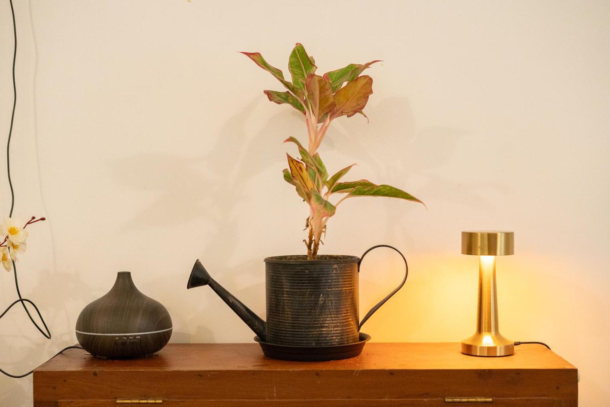Hexa Retreat Space - Airport Homestay *